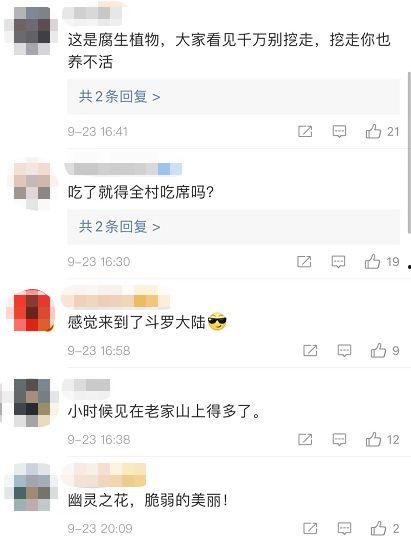 热点视频爆料点击进入,点击进入,探寻事件全貌 第1张 热点视频爆料点击进入,点击进入,探寻事件全貌 第1张